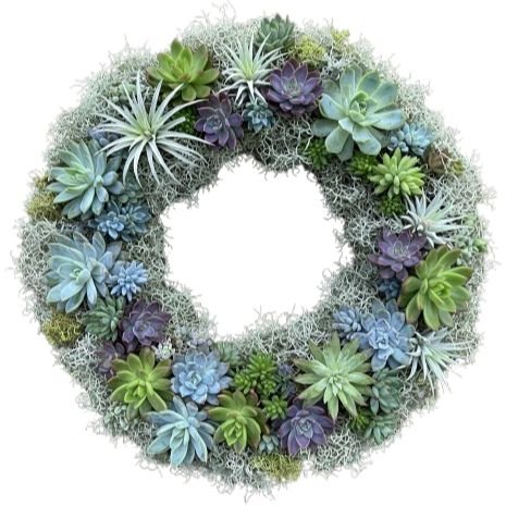 Door Wreath of Succulent in Spanish Moss - Flowers Box London