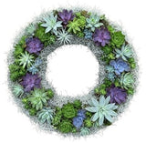 Door Wreath of Succulent in Spanish Moss - Flowers Box London