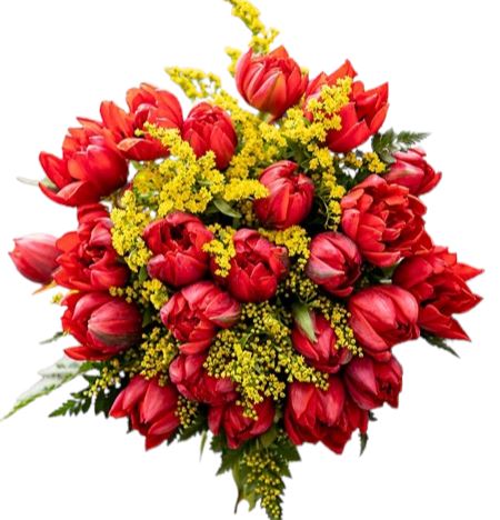 Double Red Tulips with Solidago Bouquet