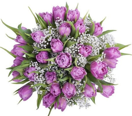 Double Tulips with Gypsophila Bouquet