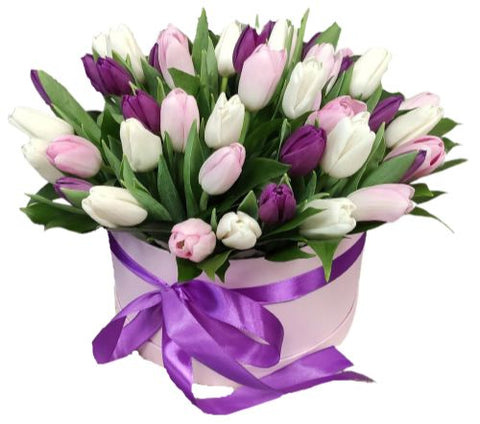 Dreams of Spring Tulips in Box