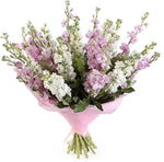Duo Colour of Stock With Green Bell Bouquet - Flowers Box London