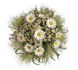 Duo Daisy with Panicum Grass Bouquet - Flowers Box London