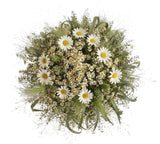 Duo Daisy with Panicum Grass Bouquet - Flowers Box London