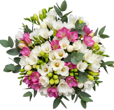 Duo Freesias with Eucalyptus Bouquet