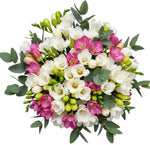 Duo Freesias with Eucalyptus Bouquet - Flowers Box London