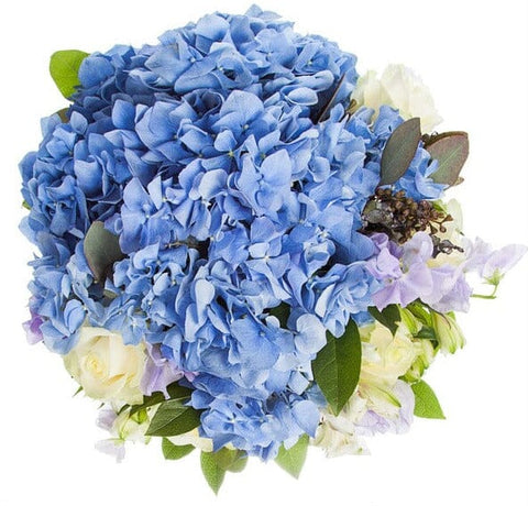 Elegant Blue Hydrange and Sweet Pea Bouquet