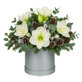 Elegant Holiday Box with Amaryllis & Silver Accents - Flowers Box London