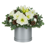 Elegant Holiday Box with Amaryllis & Silver Accents - Flowers Box London