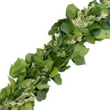 English Ivy and Pittosporum Ilan Classic Green Garland - Flowers Box London