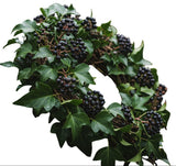 English Ivy Wreath with Berry - Flowers Box London