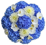 Ethereal White Bloom Cluster Bouquet - Flowers Box London