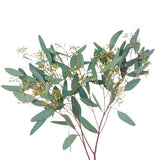 Eucalyptus Populus Berries – A Perfect Blend of Greenery and Berries - Flowers Box London