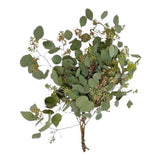 Eucalyptus Populus Berries – A Perfect Blend of Greenery and Berries - Flowers Box London