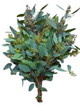 Eucalyptus Populus Berries – A Perfect Blend of Greenery and Berries - Flowers Box London