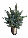 Evergreen Christmas Tree Arrangement in Decorative Pot - Flowers Box London