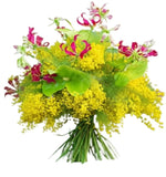 Exotic Blooms and Mimosa Bouquet - Flowers Box London