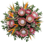 Exotic Bouquet of Birds of Paradise and Protea