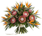 Exotic Bouquet of Birds of Paradise and Protea - Flowers Box London
