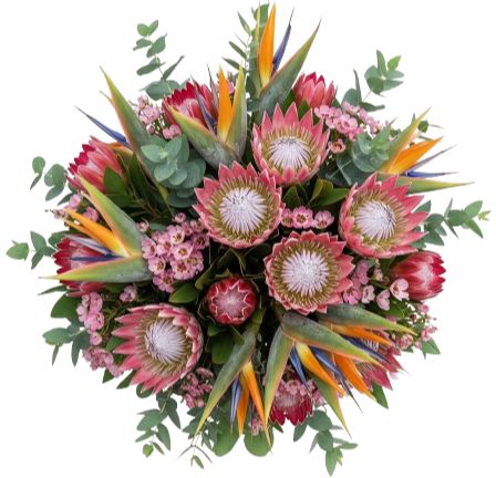 Exotic Bouquet of Birds of Paradise and Protea