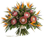Exotic Bouquet of Birds of Paradise and Protea