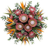 Exotic Bouquet of Birds of Paradise and Protea