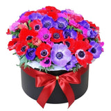 Fabulous Anemone in Box - Flowers Box London