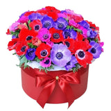 Fabulous Anemone in Box - Flowers Box London