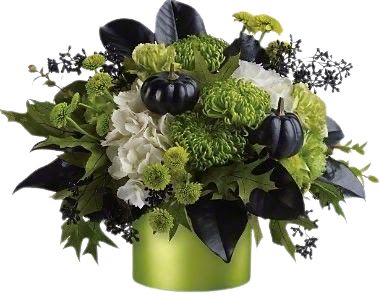 Fabulous Black and Green Halloween Box