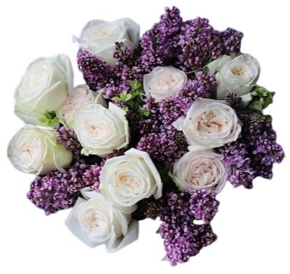 Fabulous Bouquet of Lilac and White O'Hara Garden Roses - Flowers Box London