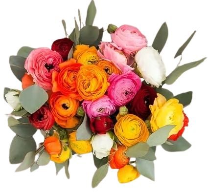 Fantastic Colored Ranunculus Bouquet - Flowers Box London
