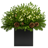Festive Elegance Box of Mistletoe and Cones - Flowers Box London