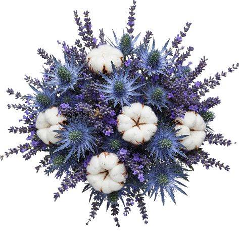 Fields of Lavender and Cotton Bouquet