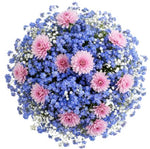 Forget Me Not and Asters Blooms Bouquet