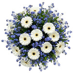 Forget Me Not and Gerberas Bouquet