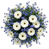 Forget Me Not and Gerberas Bouquet