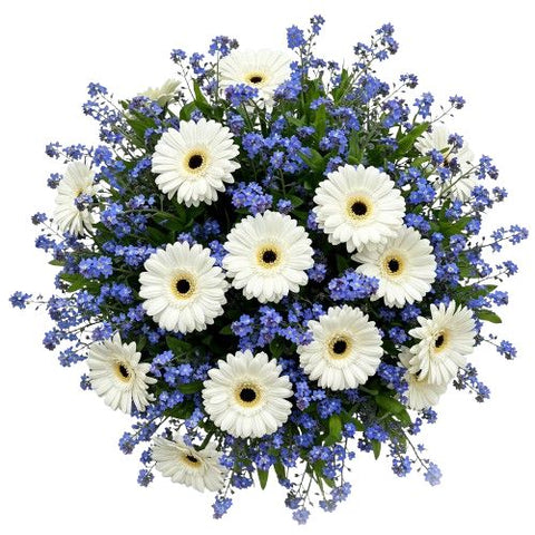 Forget Me Not and Gerberas Bouquet