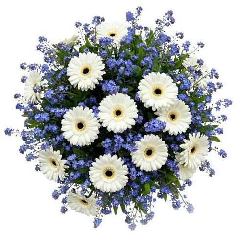 Forget Me Not and Gerberas Bouquet - Flowers Box London