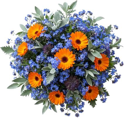 Forget Me Not and Orange Calendula Bouquet