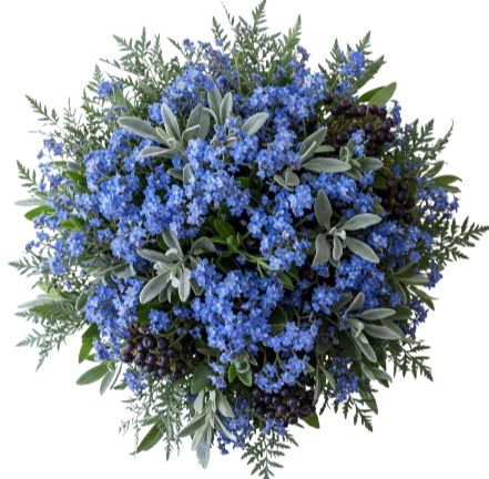 Forget Me Not Bouquet in Silver Leaves and Black Berry