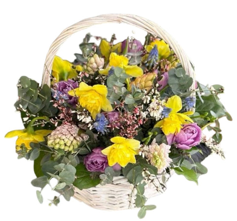 Fragrant Basket of Hyacinth and Daffodils