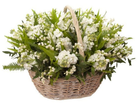 Fragrant Basket of Lily of the Valley and Stock - Flowers Box London