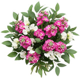 Fragrant Bouquet of Pink Stock and Sweet Pea - Flowers Box London