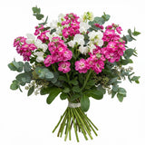 Fragrant Bouquet of Pink Stock and Sweet Pea - Flowers Box London
