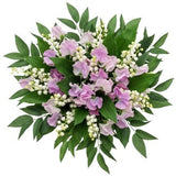 Fragrant Gorgeous Bouquet - Flowers Box London