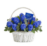 Fragrant Hyacinth Hamper with Chocolate Truffles - Flowers Box London