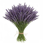 Fragrant Lavender Bouquet - Flowers Box London