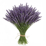 Fragrant Lavender Bouquet - Flowers Box London