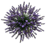 Fragrant Lavender Bouquet - Flowers Box London