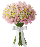 Fragrant Sweet Pea and Daisy Tanacetum Bouquet - Flowers Box London